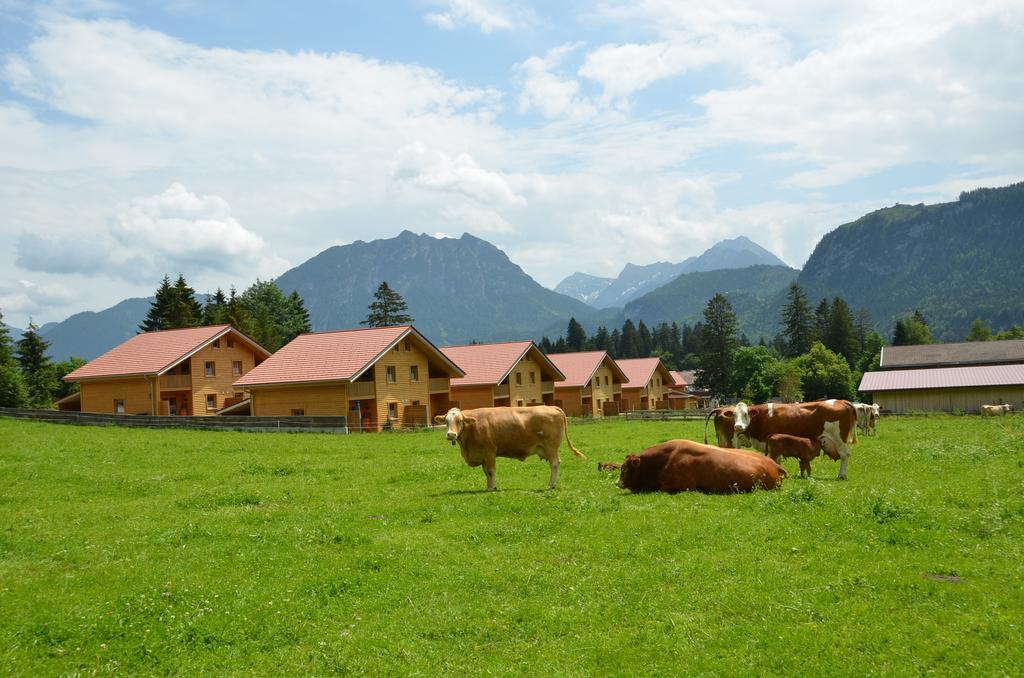 Feriendorf Am Hahnenkamm Reuthe Buitenkant foto